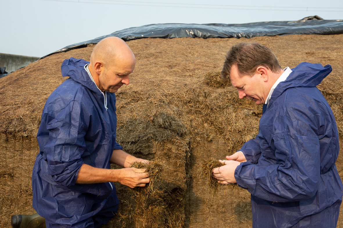 Ureum kan als eiwitbron toegevoegd worden aan het basisrantsoen